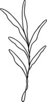 Leaf Line Art vector