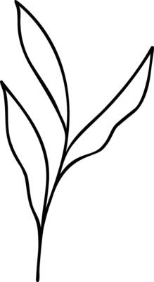 Leaf Line Art