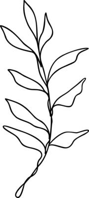 Leaf Line Art