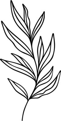 Leaf Line Art