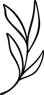 Leaf Line Art