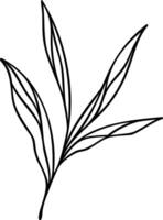 Leaf Line Art vector