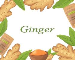 Banner with ginger root. Vector border. Decorative flat cartoon template with ginger root, leaves, and powder in a pack and in a bowl