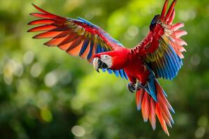 AI generated Macaw parrot in flight photo