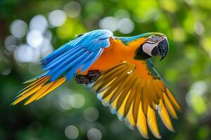 ai generado guacamayo loro en vuelo foto