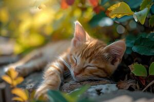 AI generated Cute kitten relaxing in the garden photo