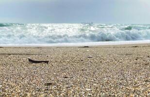 Panorama of a beautiful sand beach and storm in the sea water. Holiday summer beach background.. Wave of the sea on the sand beach. photo