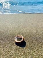 Close up of a shell with the sand inside laying on the golden beach. Summertime. photo