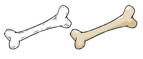 Set of bones. Part of the human skeleton. White dog Toy. Vector Cartoon and flat illustration