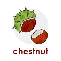 Illustration of autumn nuts and text Chestnut. Closed and open chestnut. Vector illustration