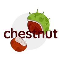 Illustration of autumn nuts and text Chestnut. Closed and open chestnut. Vector illustration