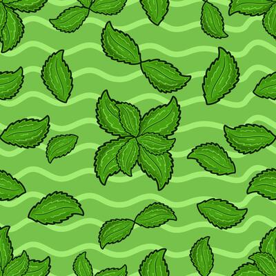 Mint Leaf Seamless Pattern in Cartoon Style. Perfect For Background, Backdrop, Wallpaper and Cover Packaging.