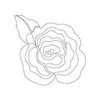 Floral silhouette art line. Flowers in continuous line drawing style. Border with rose. Minimalist black linear sketch. Contour graphics for design. vector