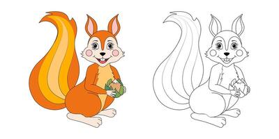 Squirrel line and color illustration. Cartoon vector illustration for coloring book.