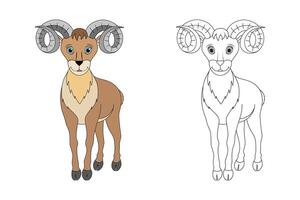 Urial line and color illustration. Cartoon vector illustration for coloring book.