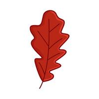 maple leaf autumn illustration vector