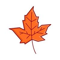 maple leaf autumn illustration vector