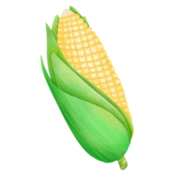 corn on the cob png
