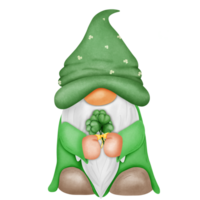 st. Patricks Tag png