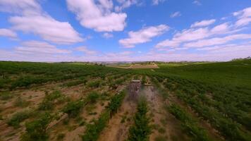 trator dirigindo dentro campo e pulverização fertilizante video