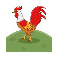 rooster animal illustration vector