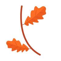 maple leaf autumn illustration vector