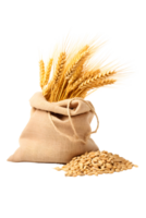 AI generated wheat in sacks png