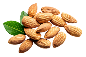 AI generated Top view almonds on white background png