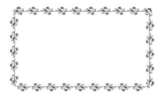 Vector drawn floral frame on white background