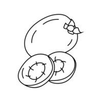 Kiwi, sour fruit in doodle style black and white illustration on white background. vector