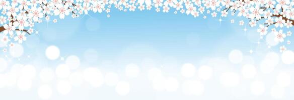 primavera fondo, naturaleza paisaje Cereza flores florecer marco frontera con bokeh luz de sol reflexión desde cielo azul en mañana.vector bandera bandera para Pascua, madres día,invitación,saludo tarjeta vector