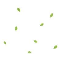 vector fresh green leaves flying on wind