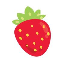 vector hand drawn strawberry fruit illustration