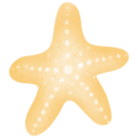 amarelo estrelas do mar ilustração com branco pontos png