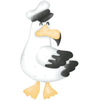 Illustration of a seagull wearing a hat png