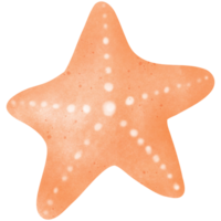 Orange starfish illustration with white spots png