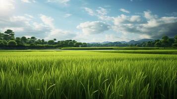 AI generated Rice Paddy Nature Background photo