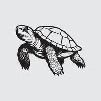 Tortuga vector arte, iconos, y gráficos