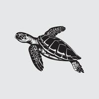 Tortuga vector arte, iconos, y gráficos