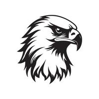 Hawk Head Vector Images