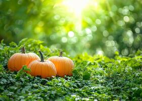 AI generated Lush Greenery with Large Orange Pumpkins photo