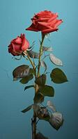 AI generated red rose against a blue wall photo