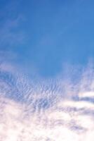 Blue sky with close-up, stratus cirrocumulus clouds. Natural background photo