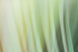 Abstract horizontal grass blurred background in green tones close up, colorful vertical lines. photo