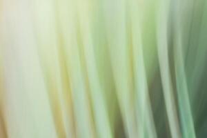 Abstract horizontal grass blurred background in green tones close up, colorful vertical lines. photo