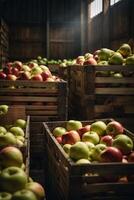 ai generado un vistoso surtido de manzanas en cajas foto