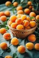 AI generated A basket filled with ripe peaches photo