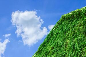 árbol casa claro azul cielo y nubes en granja para antecedentes Copiar espacio textura foto