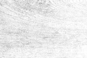 Soft focus Withe Light Wood mold pattern for texture and copy space photo