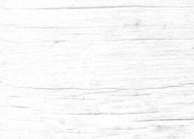 Light white pattern wood dust on surface for texture and copy space in design background photo